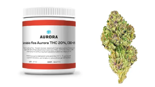 Medyczna marihuana i jej lecznicze działanie na schorzenia skóry